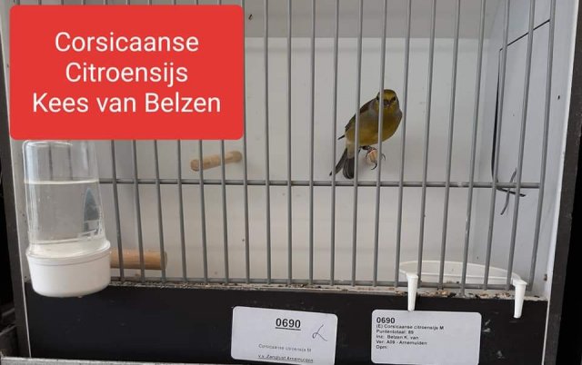fb_img_1572018612354